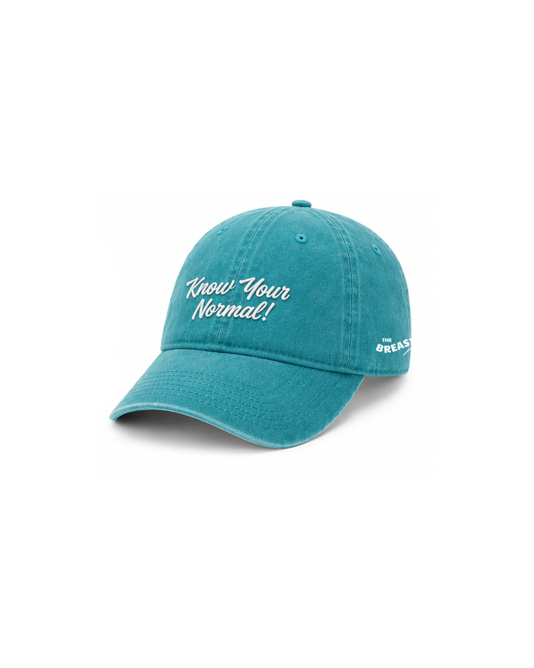 Know Your Normal Hat (Teal)